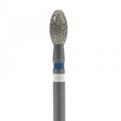 Z833.FG.023
